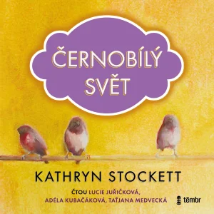Kathryn Stockett : Černobílý svět