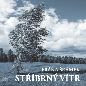 Stříbrný vítr